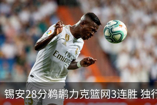 锡安28分鹈鹕力克篮网3连胜 独行侠险胜马刺